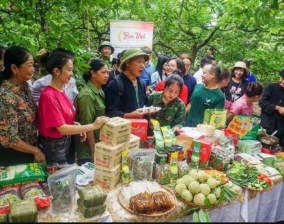 CÔNG TY CP TẬP ĐOÀN TRƯỜNG QUANG